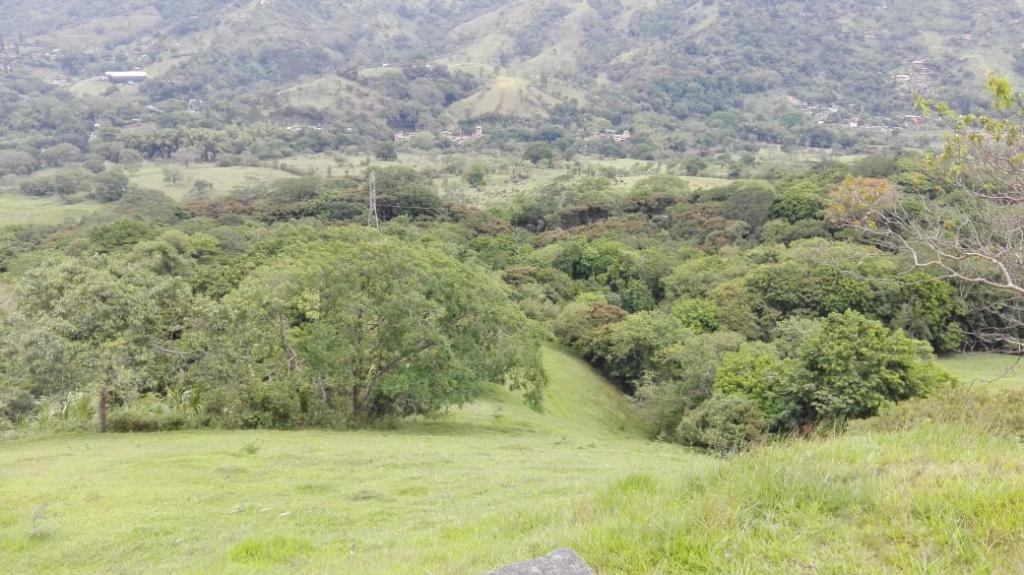 Lote en Venta en El Hatillo, Barbosa — foto 1