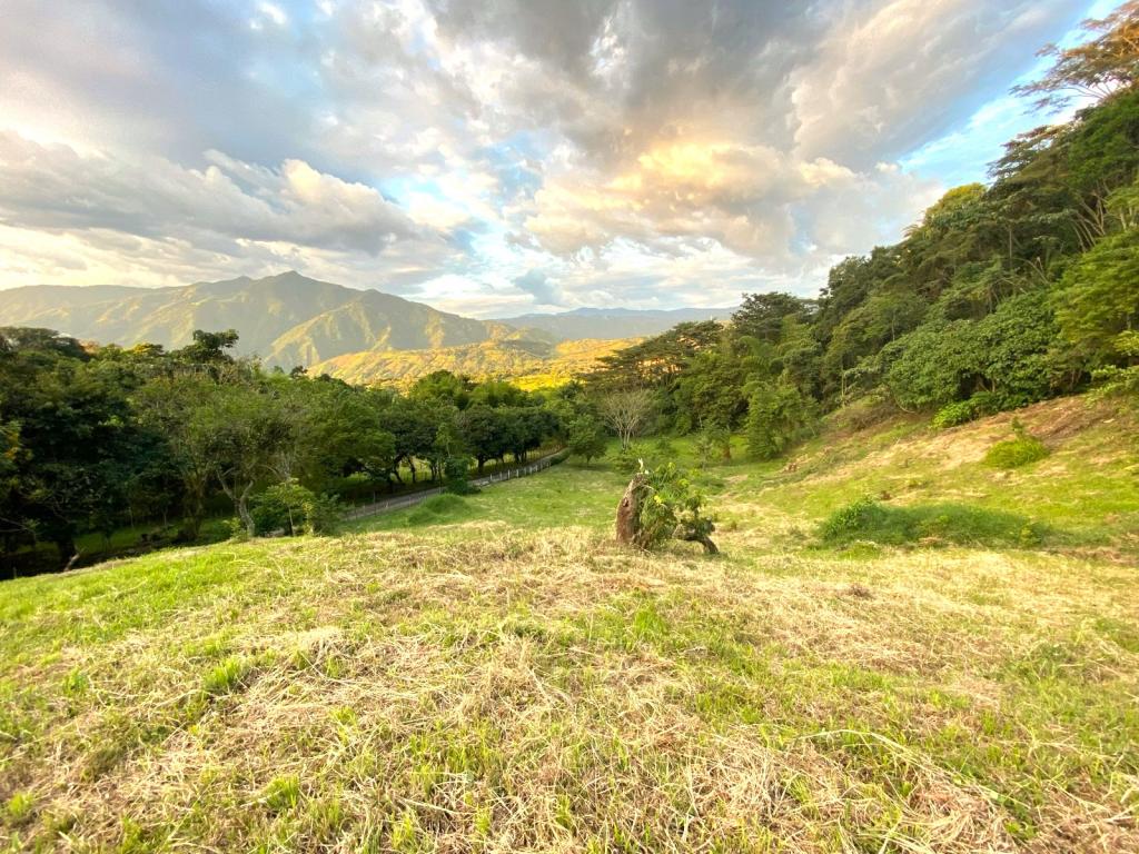 Lote en Venta en vía hacia Bolombolo, Venecia — foto 1