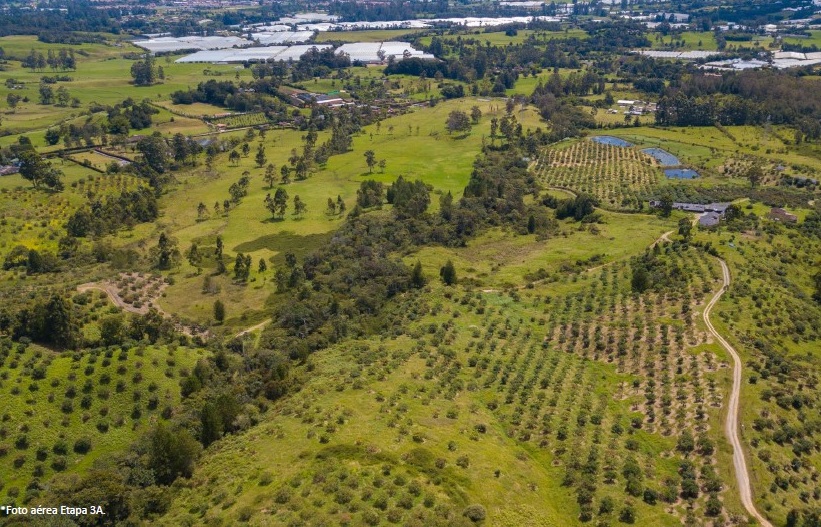 Lote en Venta en Sector Yarumo, La Ceja — foto 1