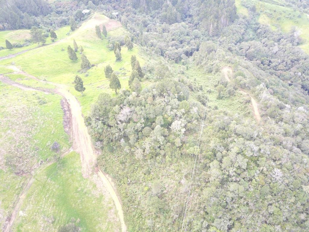 Lote en Venta en Variante las palmas, Envigado — foto 1
