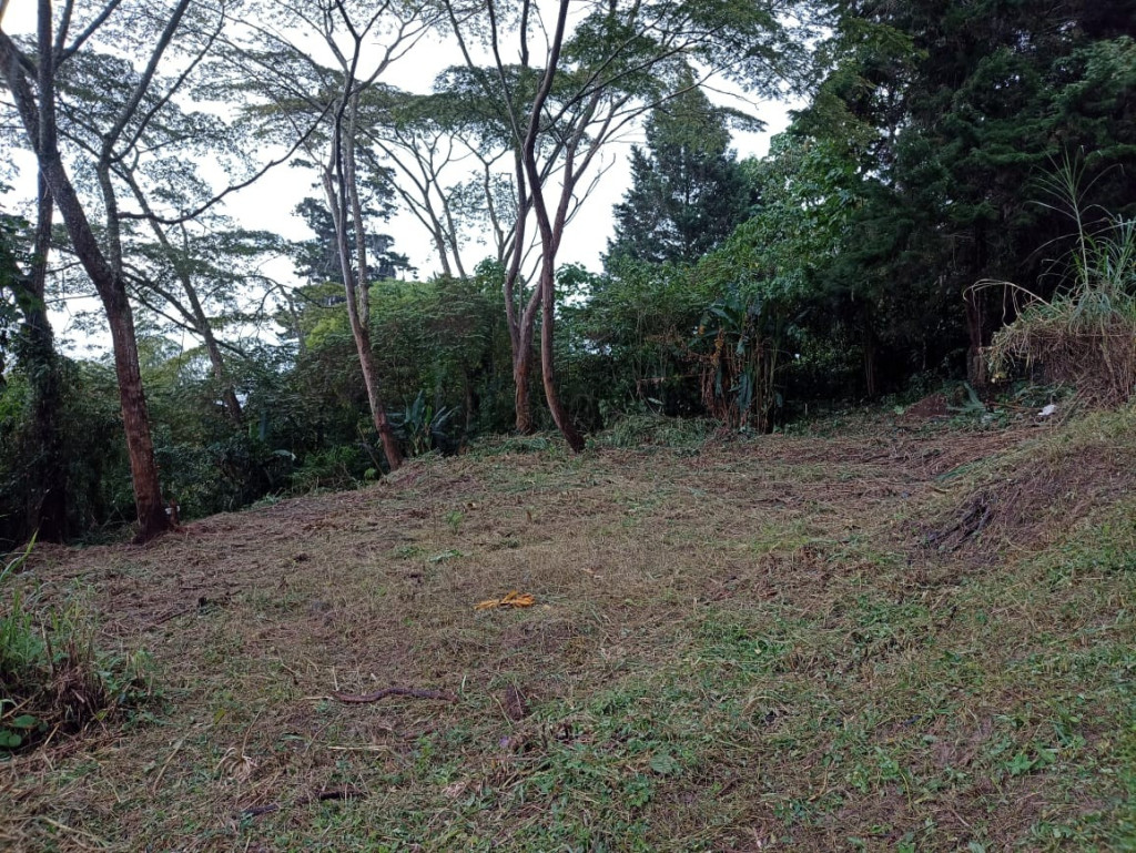 Lote en Venta en Vereda Santa Catalina, Envigado — foto 1