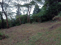 Lote en venta en Vereda Santa Catalina, Envigado