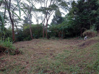 Lote en Venta en Vereda Santa Catalina, Envigado — miniatura 3