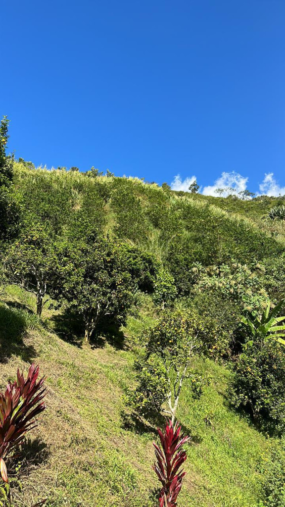 Finca en Venta en Vereda la Chorrera, Barbosa — foto 1