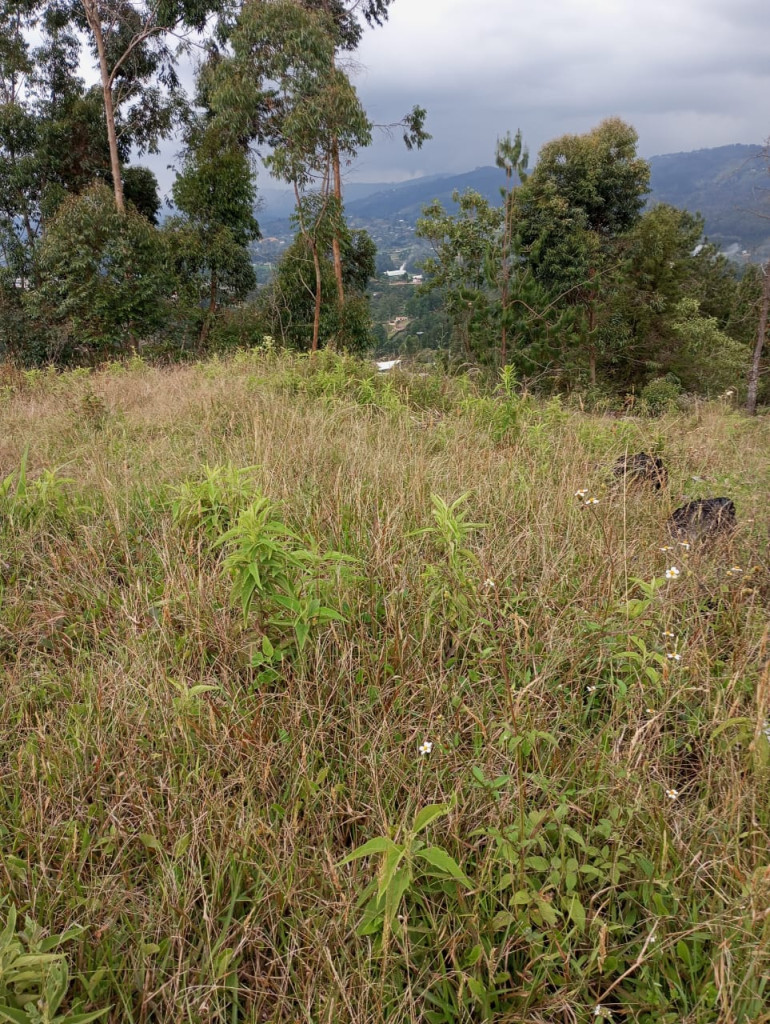 Lote en Venta en Vereda la Clara, Guarne — foto 1