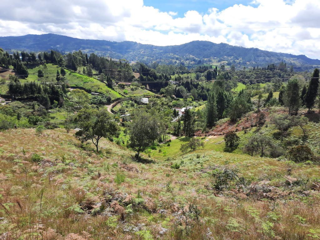 Lote en Venta en Guarne, Guarne — foto 1
