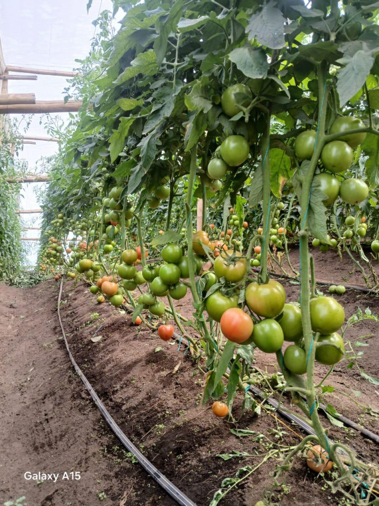 Finca en Venta en vereda la sonadora, San Vicente — foto 1