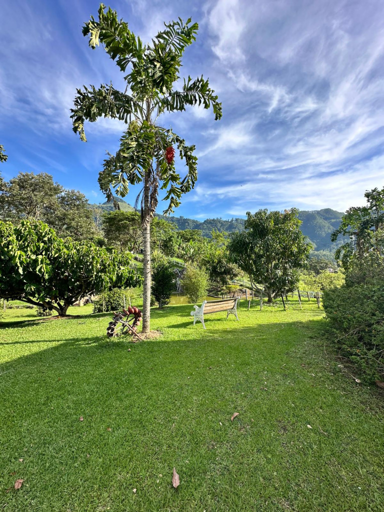 Finca en Venta en Venecia — foto 1
