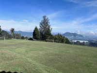 Finca en Venta en ceja, La Ceja — miniatura 19