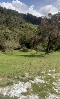Lote en Venta en Vereda La Honda, Guarne — miniatura 2