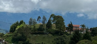 Finca en venta en Palmitas, Medellín