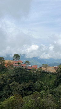 Finca en Venta en Palmitas, Medellín — miniatura 2