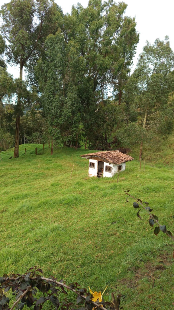 Finca en Venta en San Pedro De Los Milagros, San Pedro — foto 1