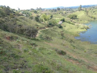 Lote en Venta en Vereda El Morro, Peñol — miniatura 2