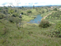 Lote en Venta en Vereda El Morro, Peñol — miniatura 4
