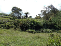 Lote en Venta en Vereda El Morro, Peñol — miniatura 7