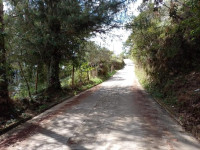 Lote en Venta en Vereda El Morro, Peñol — miniatura 9