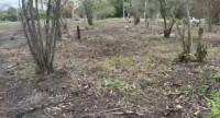 Lote en Venta en Loma de piedra, Turbaco — miniatura 4