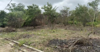 Lote en Venta en Loma de piedra, Turbaco — miniatura 5