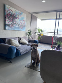 Apartamento en Venta en El Poblado, Medellín — miniatura 6