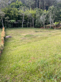Lote en venta en Vereda Guayabito, Rionegro