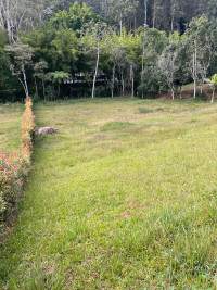 Lote en Venta en Vereda Guayabito, Rionegro — miniatura 2