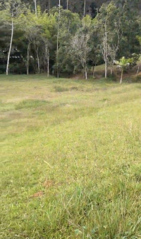 Lote en Venta en Vereda Guayabito, Rionegro — miniatura 3