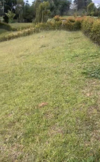 Lote en Venta en Vereda Guayabito, Rionegro — miniatura 4