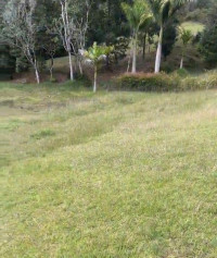 Lote en Venta en Vereda Guayabito, Rionegro — miniatura 5