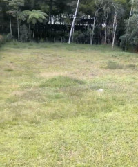 Lote en Venta en Vereda Guayabito, Rionegro — miniatura 6