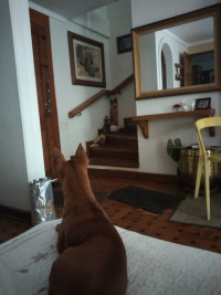 Casa - Apartamento(S) en venta en El Poblado, Medellín