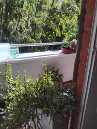 Casa - Apartamento(S) en Venta en El Poblado, Medellín — miniatura 4
