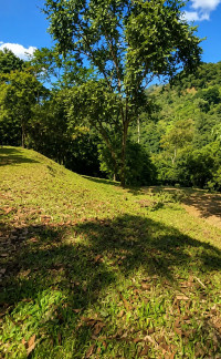 Lote en Venta en Cocorná, Cocorná — miniatura 2