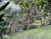 Casa Campestre en Venta en Puro Cuero, Retiro — miniatura 21