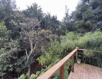 Casa Campestre en Venta en Puro Cuero, Retiro — miniatura 25