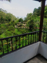 Finca en Venta en La Doctora, Sabaneta — miniatura 2