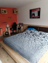 Apartamento en Venta en Loma el chocho, Envigado — miniatura 10