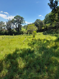 Lote en Venta en Vereda la Veta, Medellín — miniatura 2