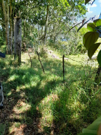 Lote en Venta en Vereda la Veta, Medellín — miniatura 3