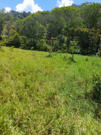 Lote en Venta en Vereda la Veta, Medellín — miniatura 4