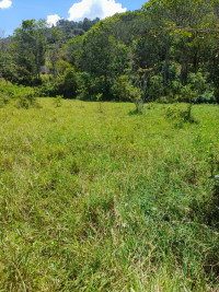 Lote en Venta en Vereda la Veta, Medellín — miniatura 5