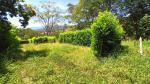 Lote en Venta en SAN JERONIMO, San Jerónimo — miniatura 7