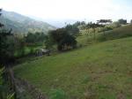 Lote en venta en el escobero vereda vallano, Envigado