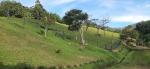 Lote en Venta en el escobero vereda vallano, Envigado — miniatura 2