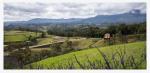 Lote en Venta en Rionegro — miniatura 2
