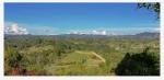 Lote en Venta en Rionegro — miniatura 6