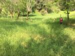 Lote en Venta en vereda Guaimaral, Amaga — miniatura 6