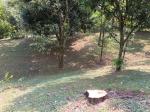 Lote en Venta en vereda Guaimaral, Amaga — miniatura 16