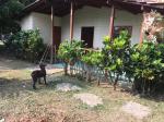 Lote en Venta en vereda Guaimaral, Amaga — miniatura 3