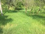 Lote en Venta en vereda Guaimaral, Amaga — miniatura 12